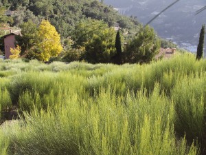 Xtrallusion photo library of independent, self-guided walking and sightseeing holidays in Italy. Pictures, images, photos and photographs taken along the way of this 1-day walking itinerary, to give you a visual impression of the day's walk.